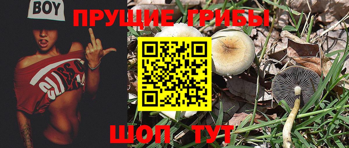 Псилоцибиновые грибы Psilocybe  Галлюциногенные грибы MAGIC MUSHROOMS  Ханты-Мансийск  хочу   Вход с VPN 