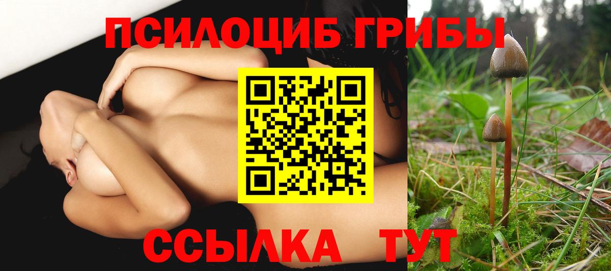 Галлюциногенные грибы Cubensis Ханты-Мансийск